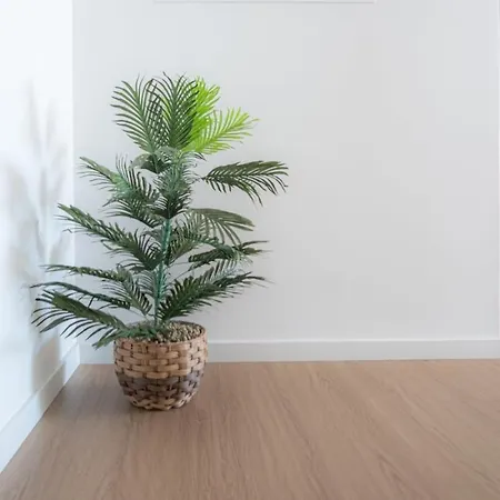 Apartman Vista'mar *